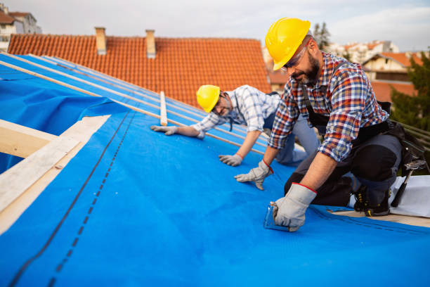 Best Roof Gutter Cleaning  in Dos Palos, CA